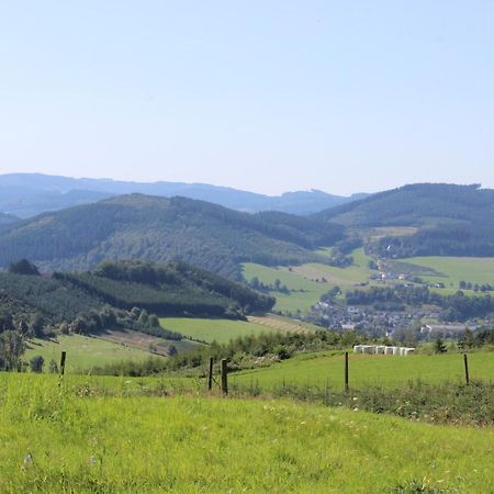 Haus Bergeshoeh Hochsauerland 埃斯洛黑 外观 照片
